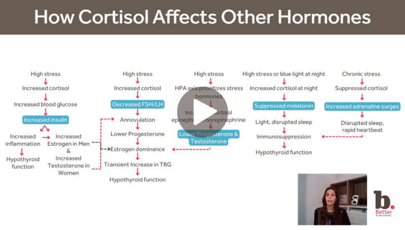 Untitled design (17)