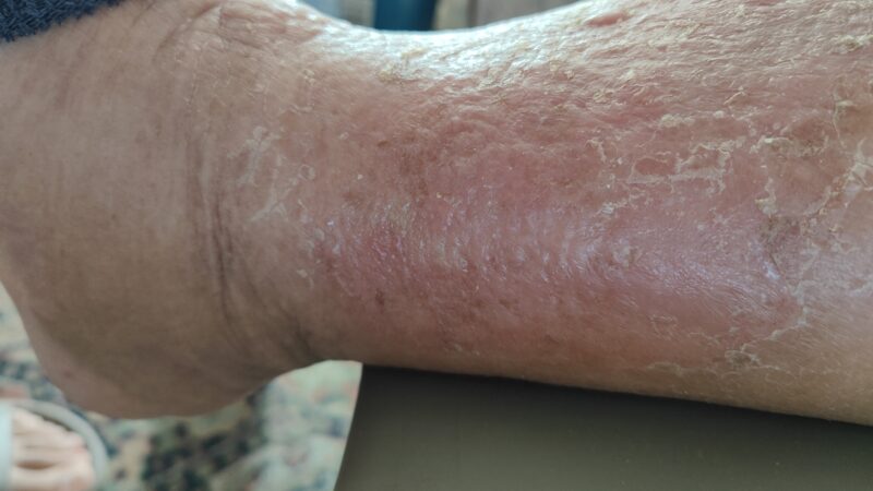 d043882d-ce9f-4da1-8a17-3c3da300a874