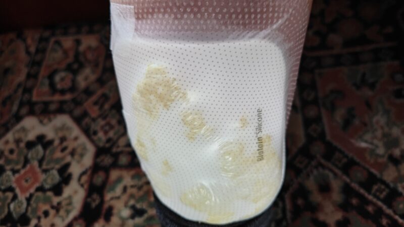 088eb301-4263-4c00-9101-eb7f8784554f