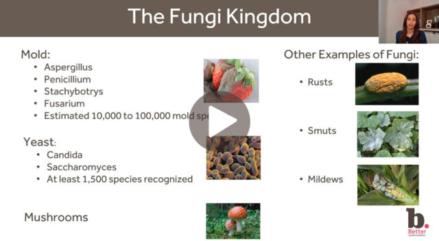 Untitled design (43)