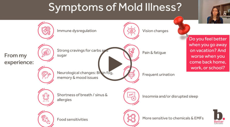 Untitled design (50)